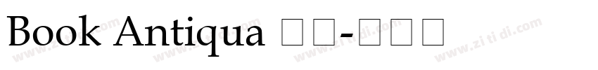 Book Antiqua 常规字体转换